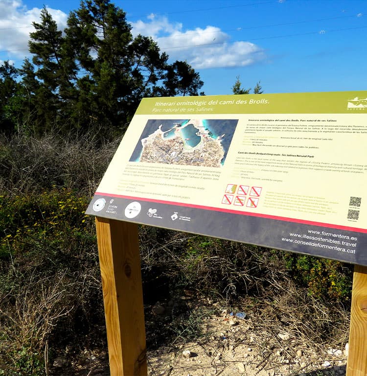 Ruta de avistaiento de aves hecha para el Estany Pudent de Formentera